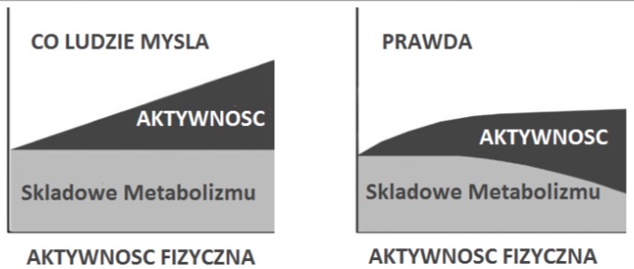 Wydatek energetyczny wraz ze wzrostem aktywności